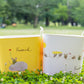 baquet フレデリック フォーシーズン