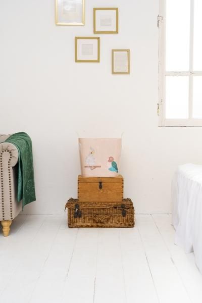 baquet miyuki matsuo bird