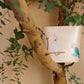 baquet miyuki matsuo bird