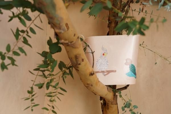 baquet miyuki matsuo bird