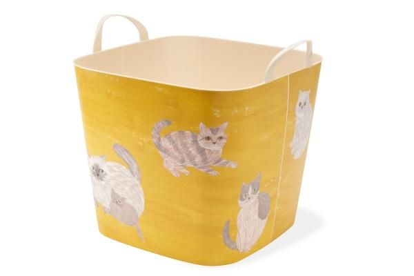 baquet miyuki matsuo cat