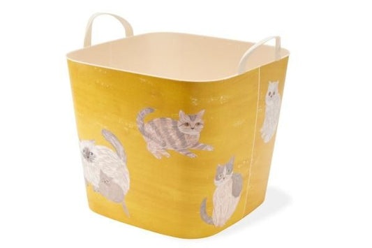 baquet miyuki matsuo cat