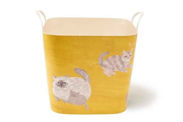 baquet miyuki matsuo cat