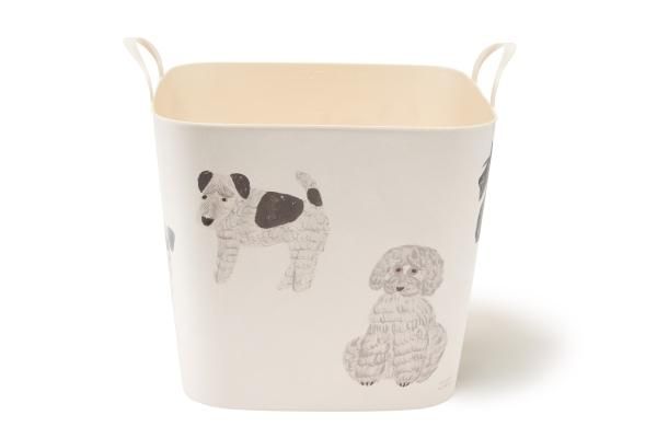 baquet miyuki matsuo dog