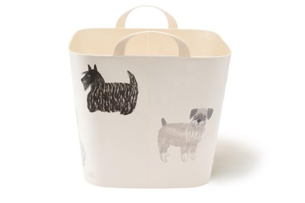 baquet miyuki matsuo dog