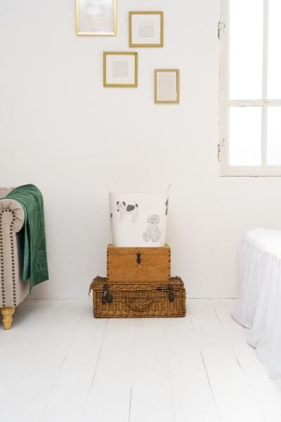 baquet miyuki matsuo dog