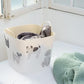 baquet miyuki matsuo dog
