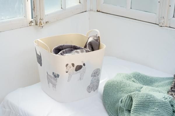 baquet miyuki matsuo dog