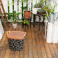 baquet House Industries アルファベット