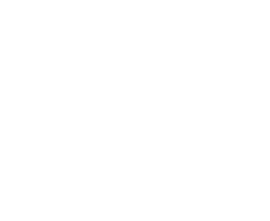 merry-mj